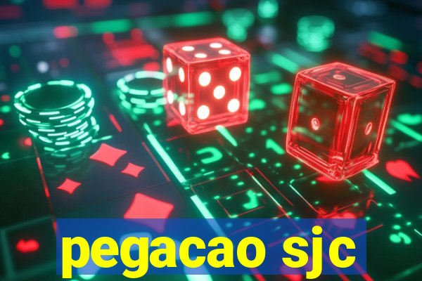 pegacao sjc